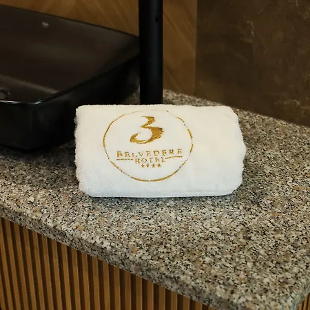 Hotel Belvedere &