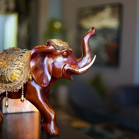 Szálloda Belvedere &