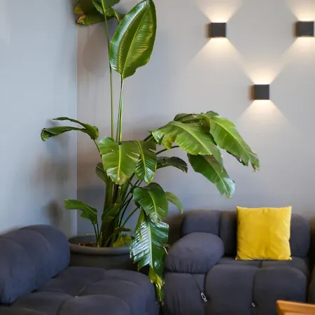 Belvedere & Szálloda Vlora